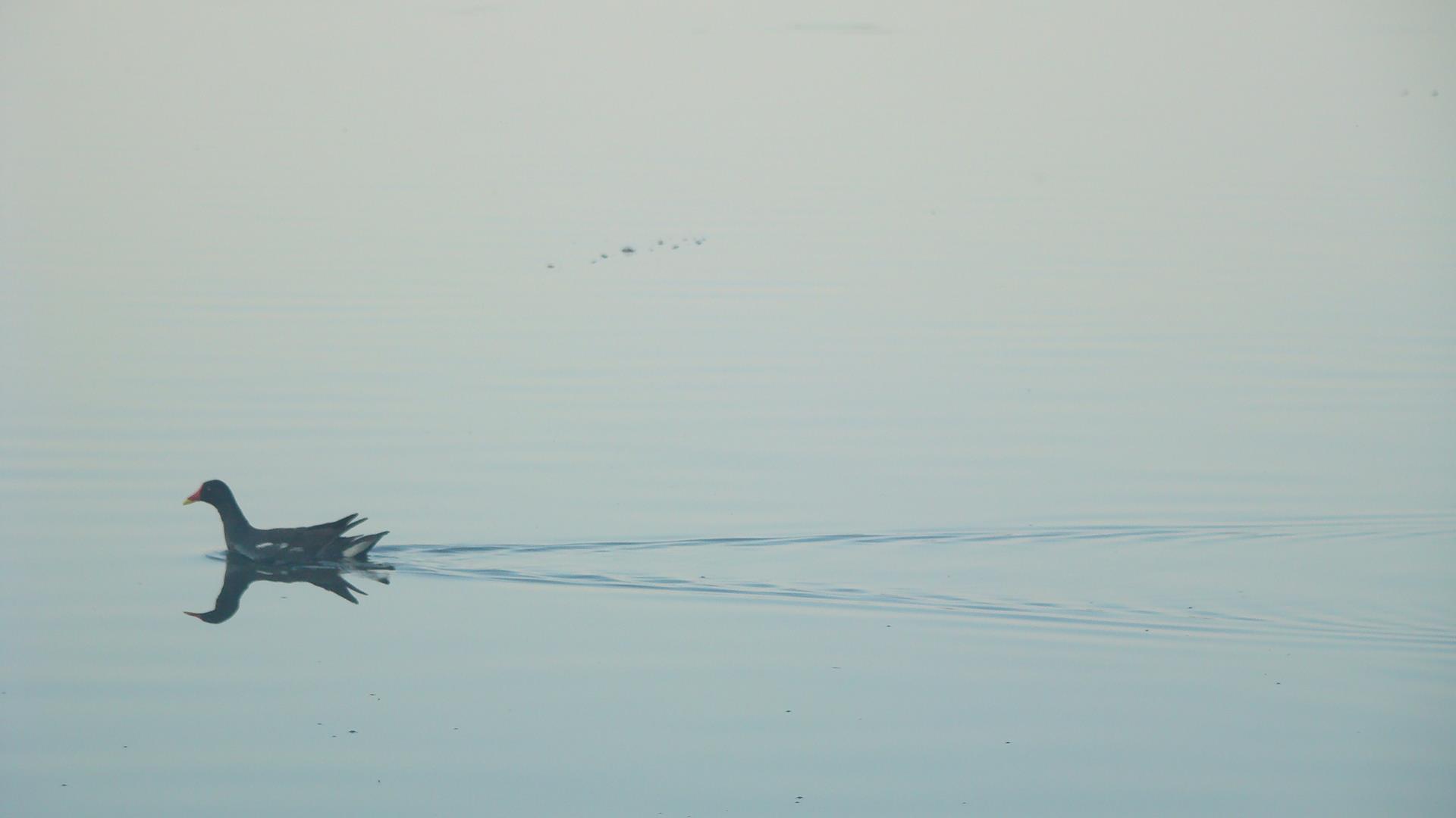 Blasova 2012 - DSC07808.JPG